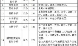 老外爆料南京打人视频最新,冲突瞬间引发社会关注