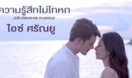 爱的坐标泰剧在线观看,泰剧浪漫之旅，在线观看心动瞬间